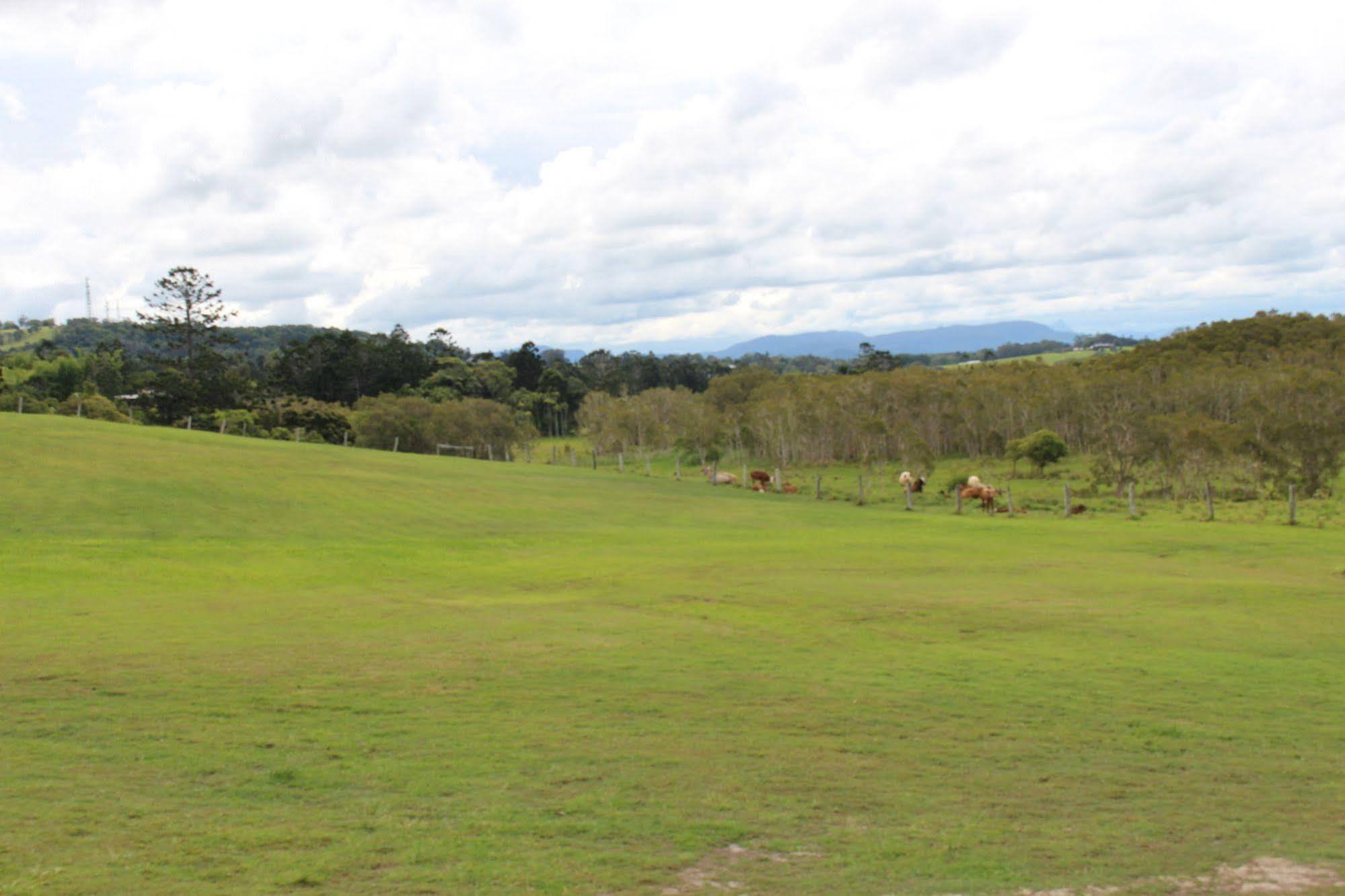 Cape Byron Retreat (Adults Only) Villa Teluk Byron Bagian luar foto
